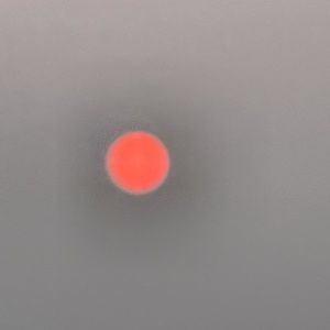 Meet your Posher, Estelle-rose